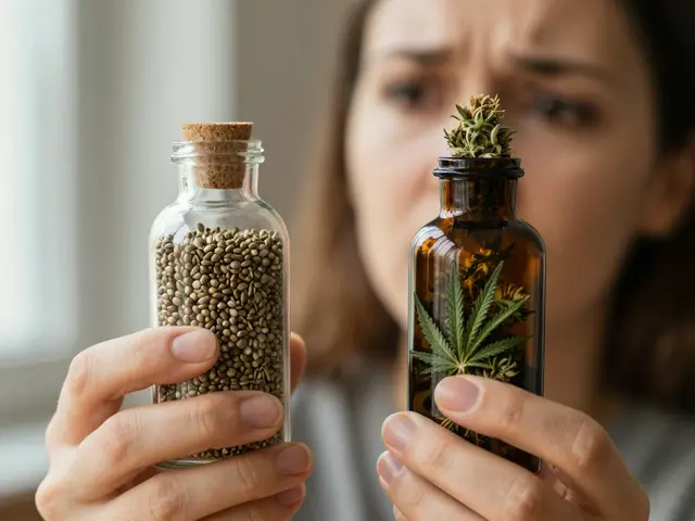 CBD a konopí pro psy: Je to stejné? Vše, co musíte vědět