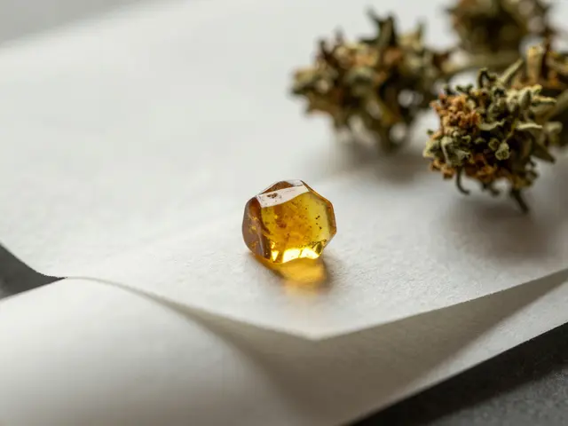 Můžete vložit CBD shatter do papíru?