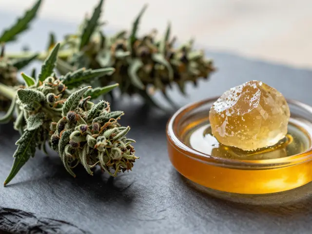 Dabs vs. Flower: Co vás dostane víc? Porovnání CBD shatteru a květů