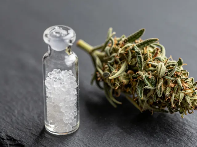 Je CBD joint skutečně lepší? Přehled chuti, účinků a tipů na mixování