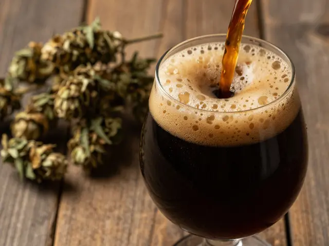 Lze použít konopí místo chmele v pivu? Průvodce cannabisovým pivem